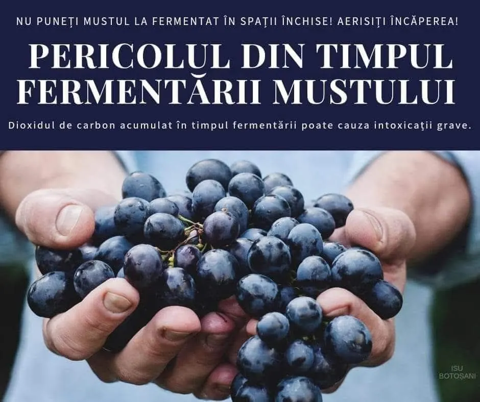 Atenție la vinul în fermentare: risc de intoxicare cu dioxid de carbon