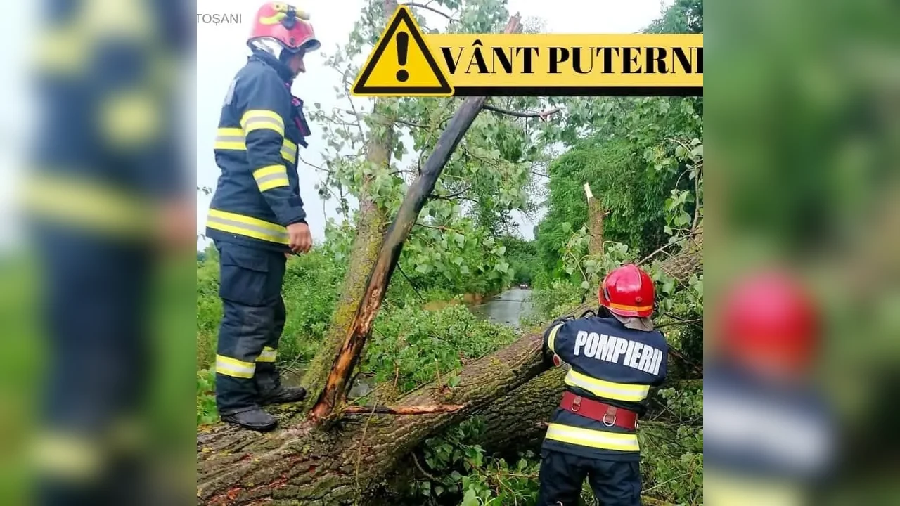 Cod galben de vânt în Botoșani: 50–70 km/h, mâine între 10:00 și 21:00
