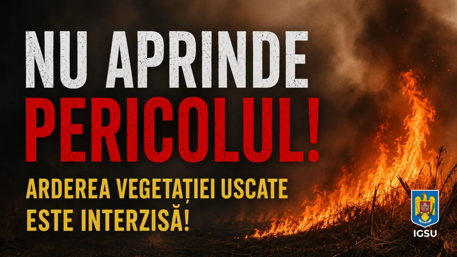 Foc pe 0,5 hectare la marginea Buhăcenilor. Au fost protejate 30 de hectare de porumb